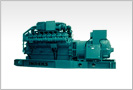 Nature Gas Genatators