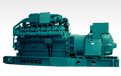 Nature Gas Generator