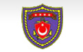 NAVAL FORCES